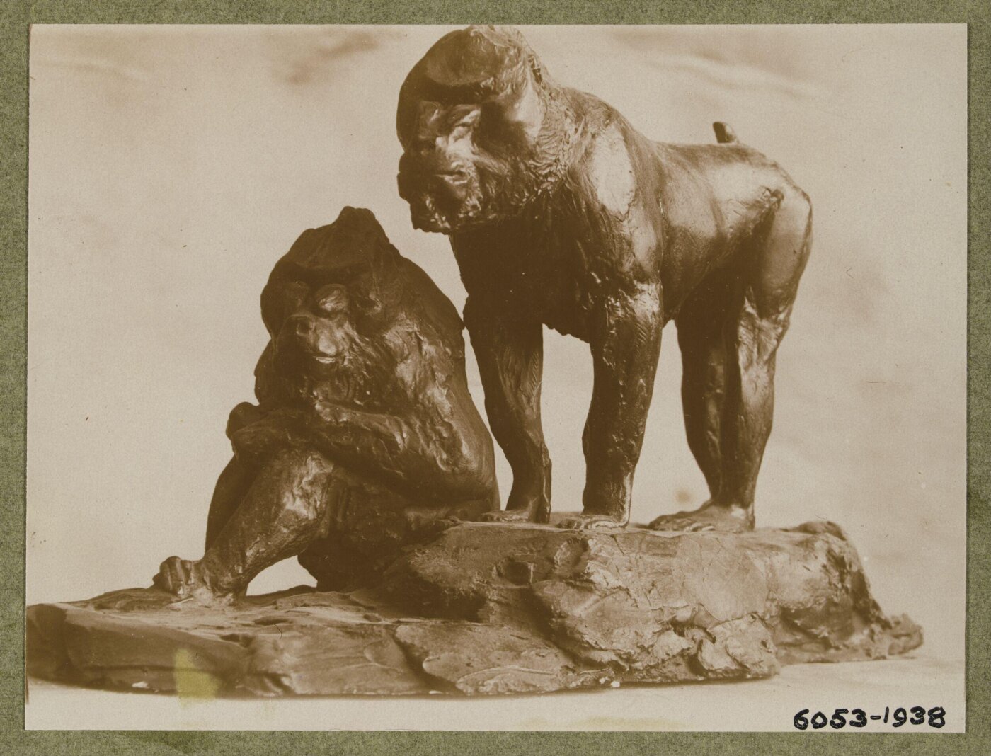 unknown, Photograph