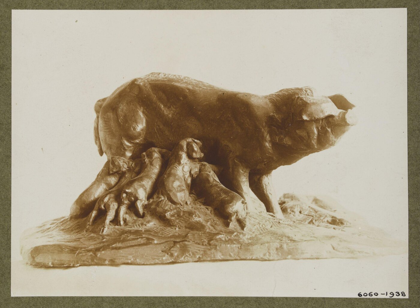 unknown, Photograph