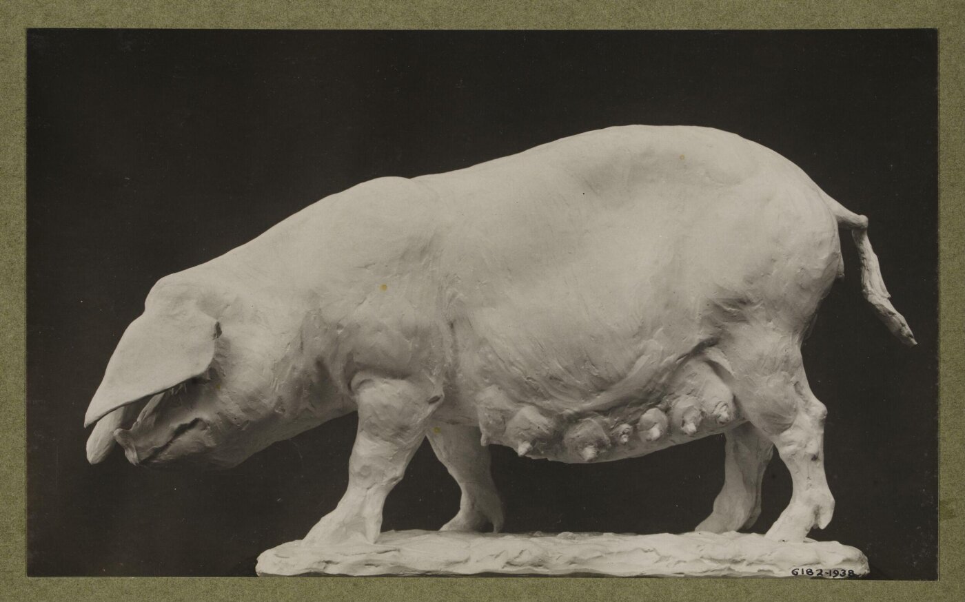 unknown, Photograph