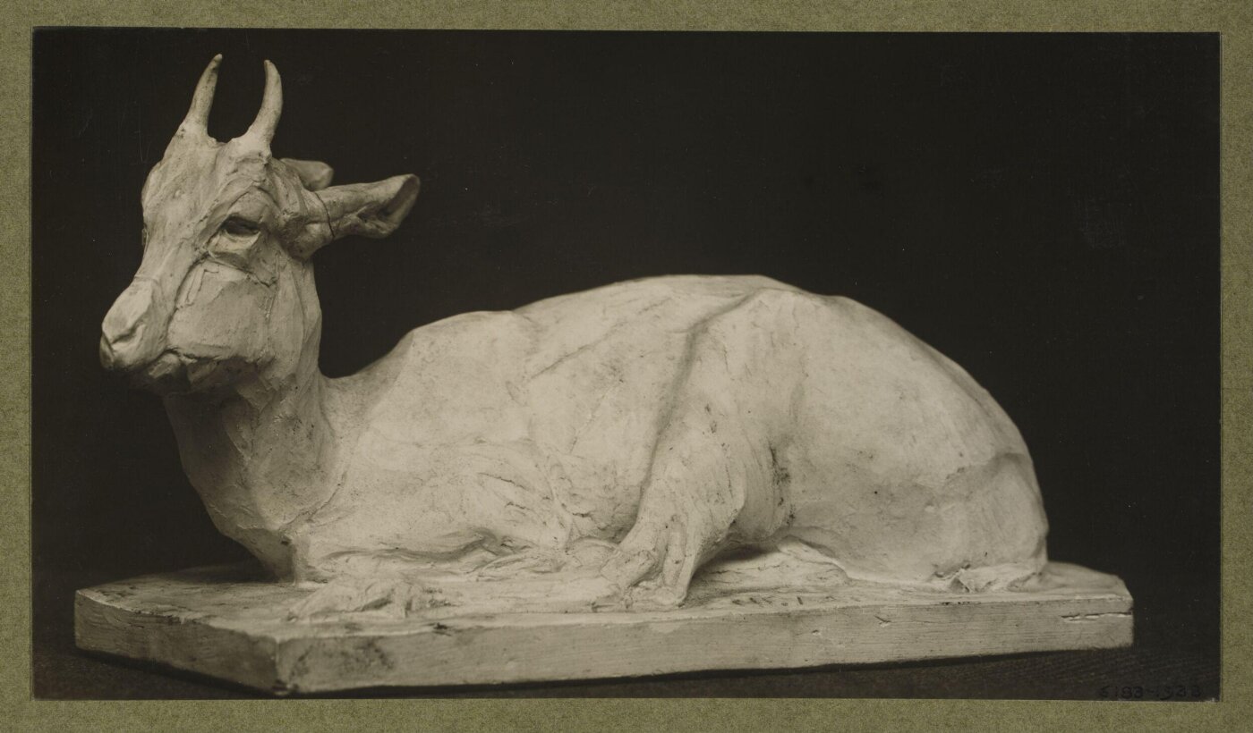 unknown, Photograph