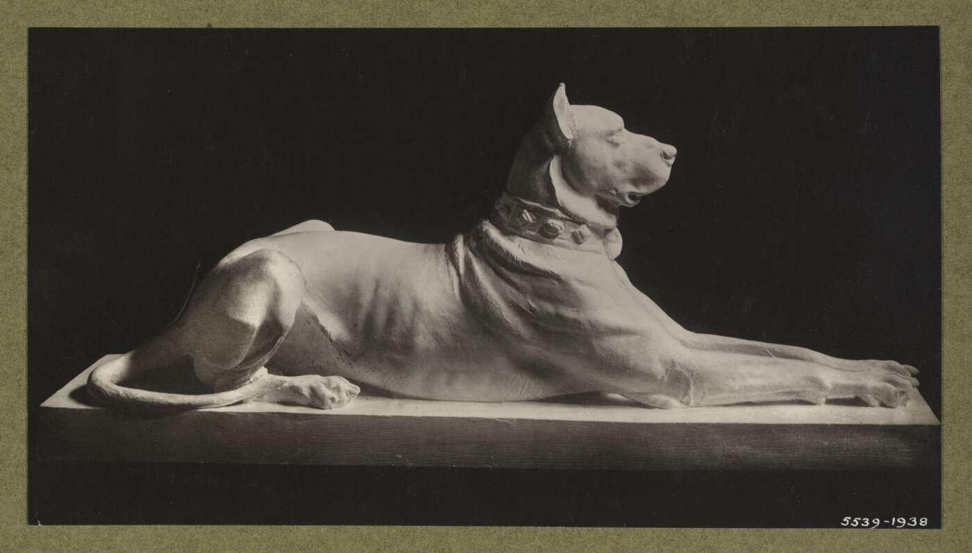 unknown, Photograph