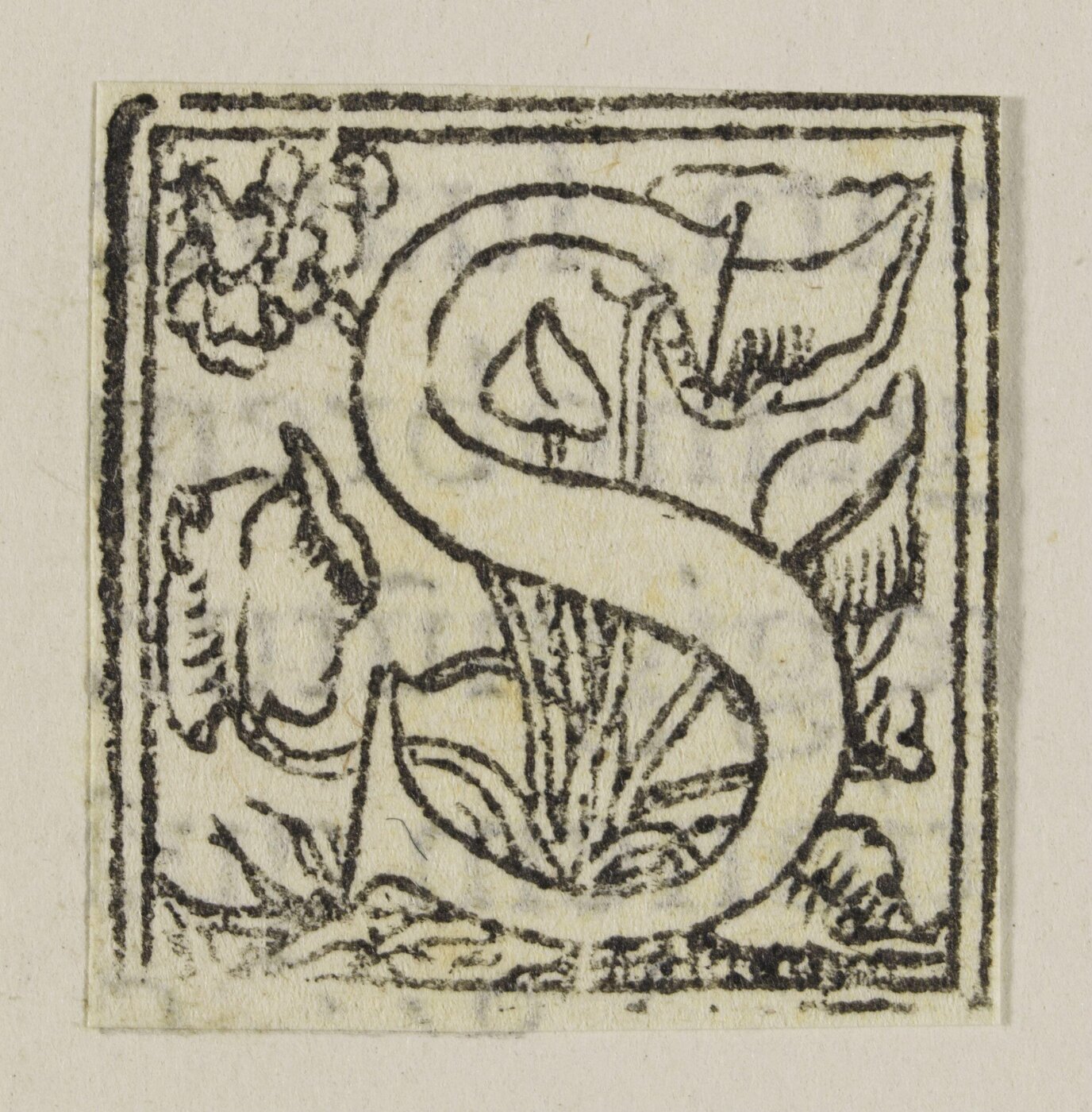 Unknown, Print