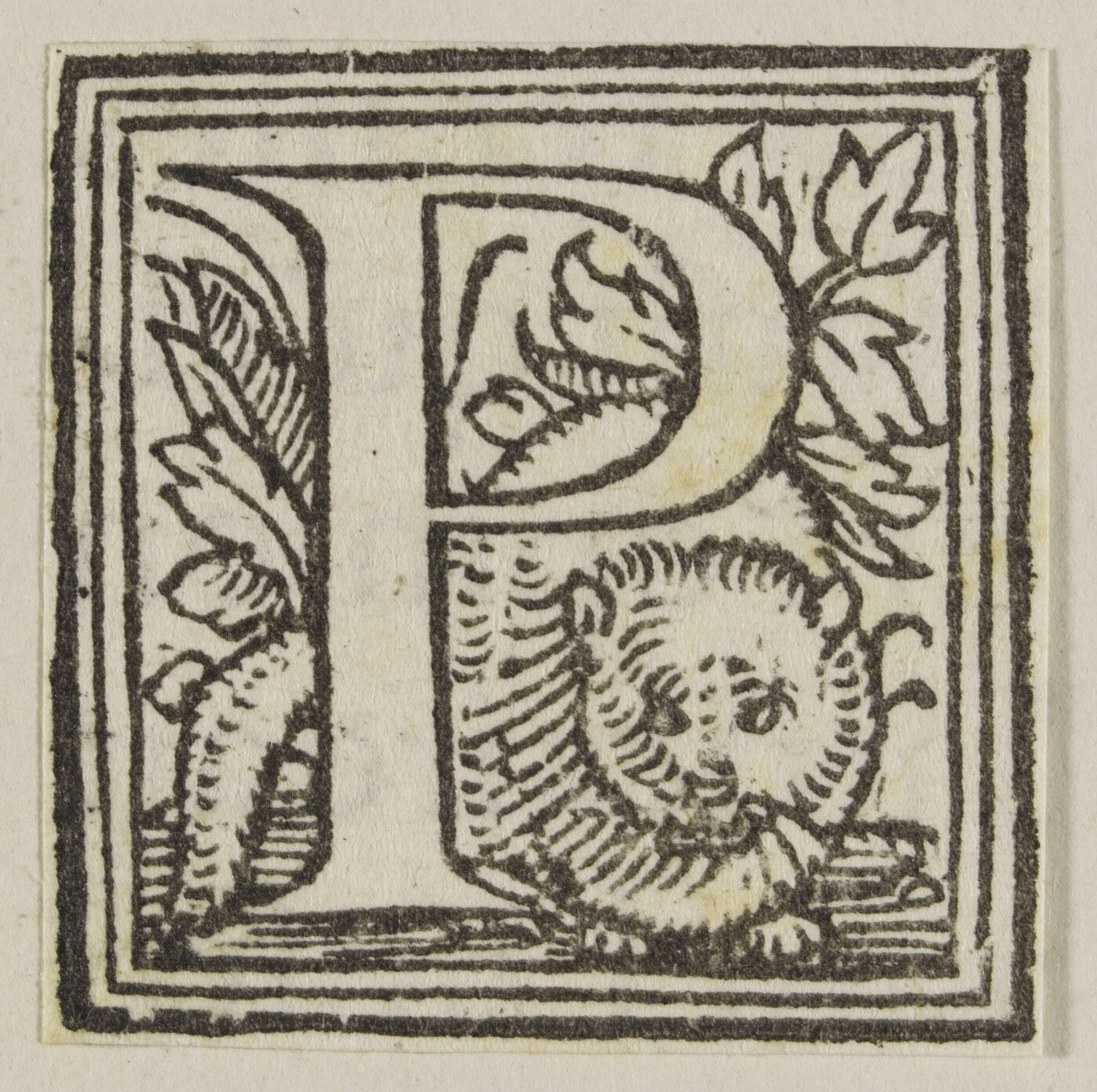 Unknown, Print