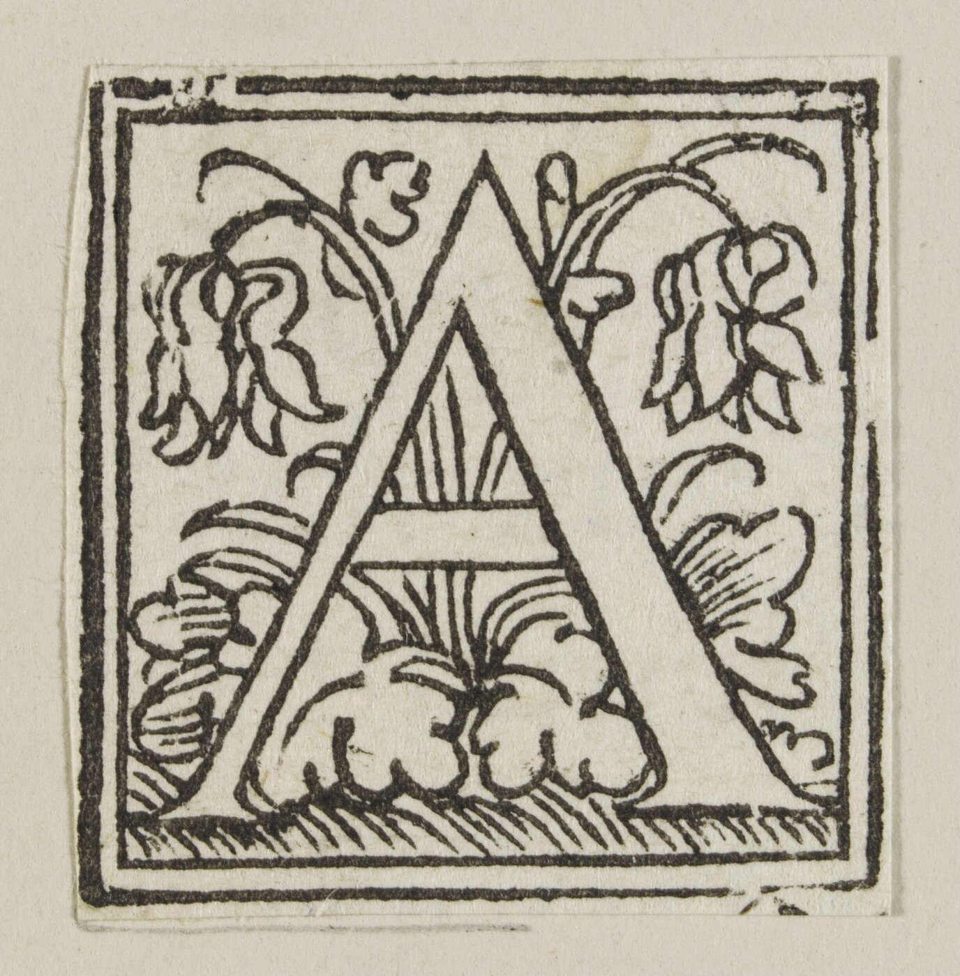 Unknown, Print