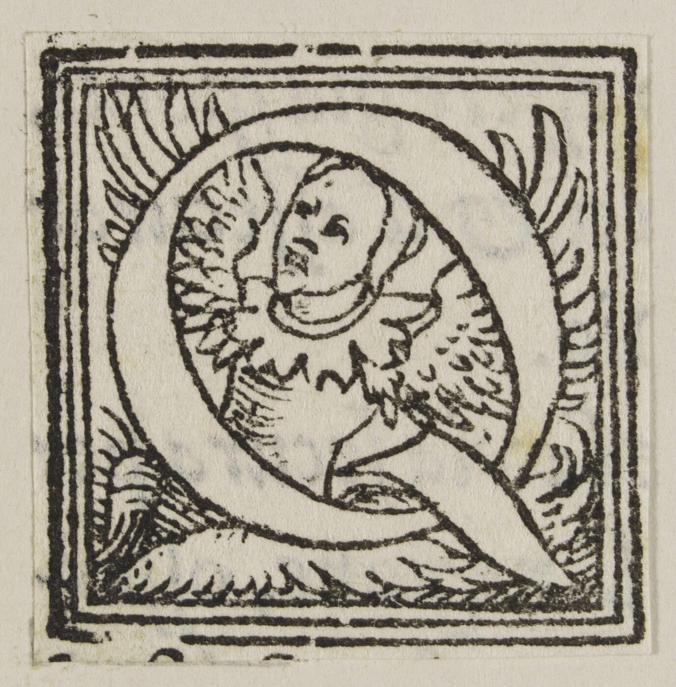 Unknown, Print