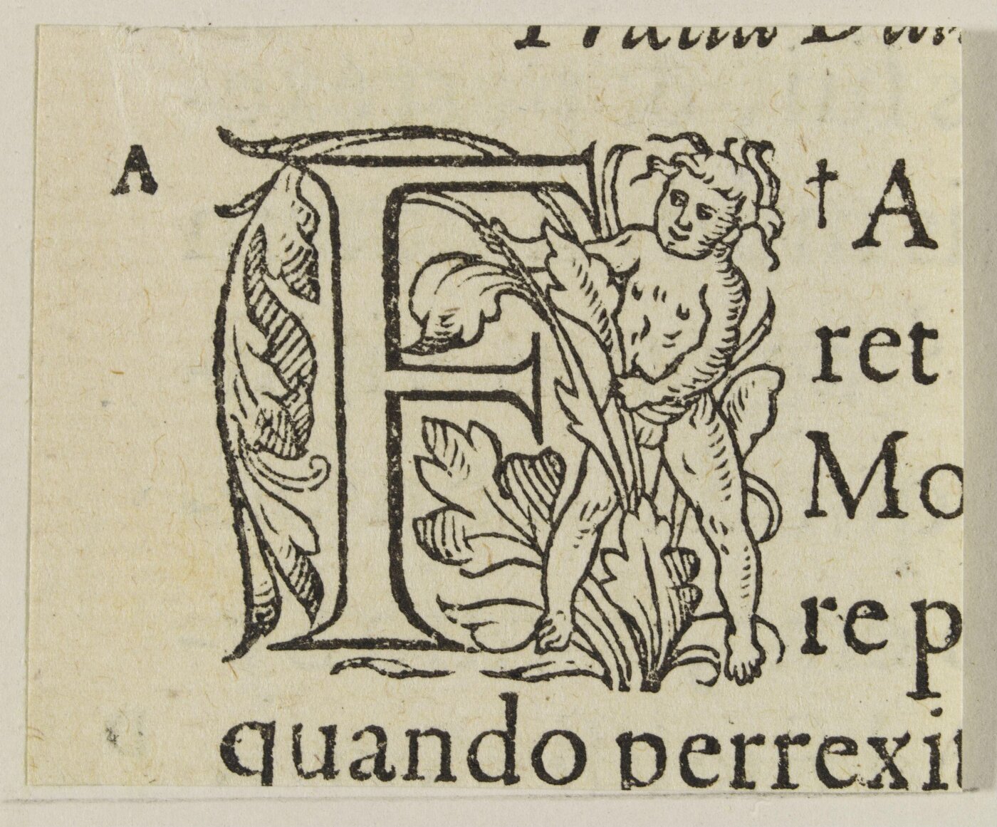 Unknown, Print