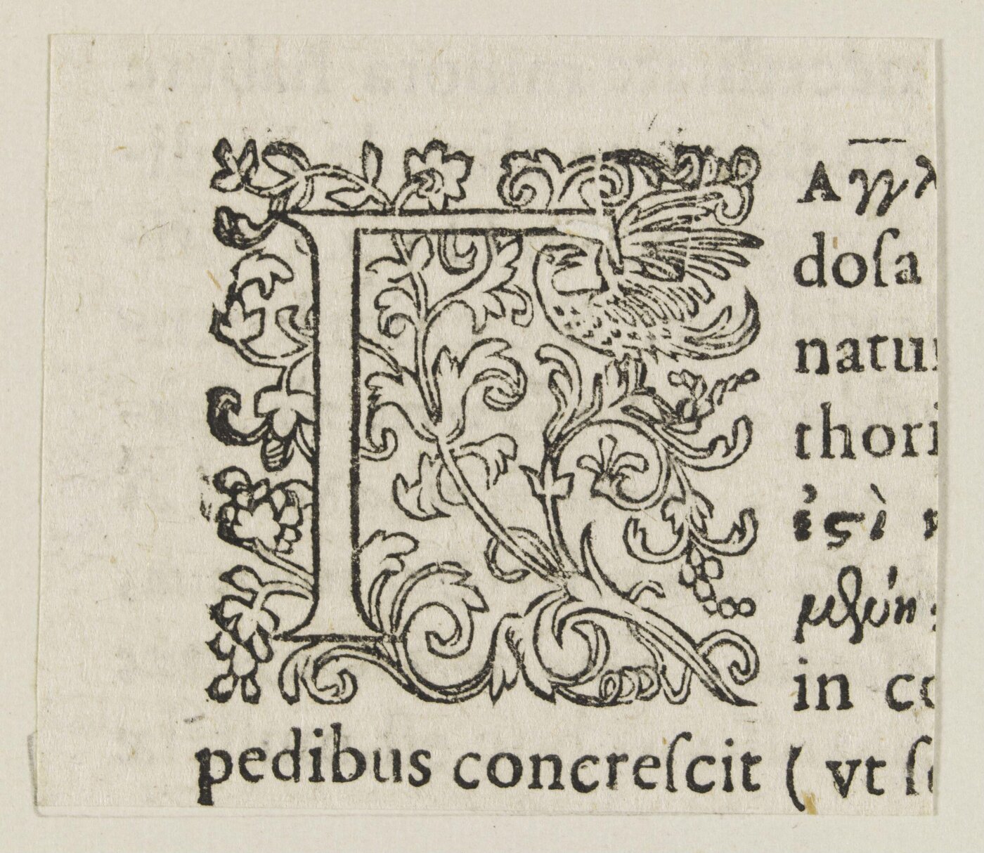 Unknown, Print