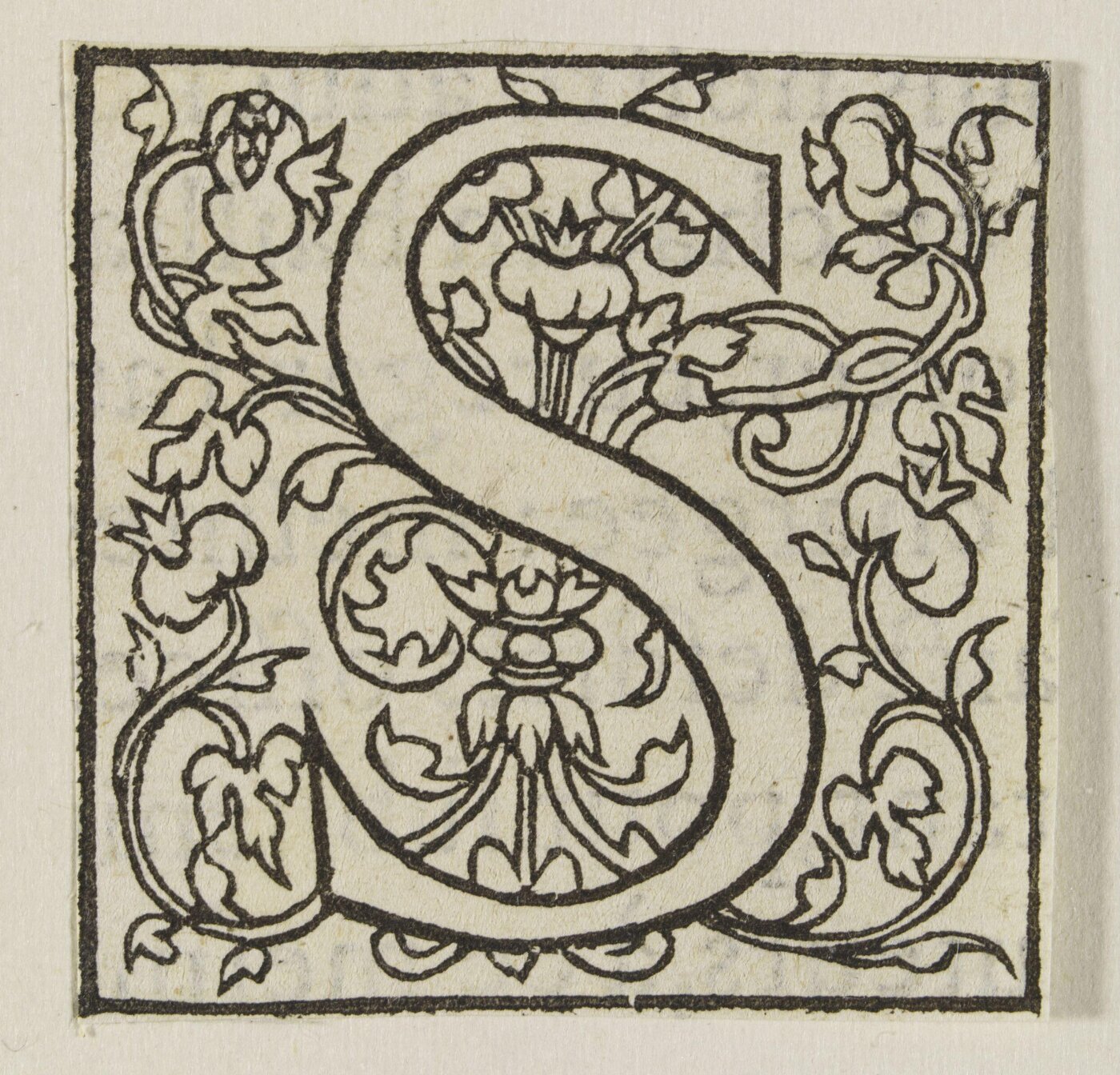 Unknown, Print