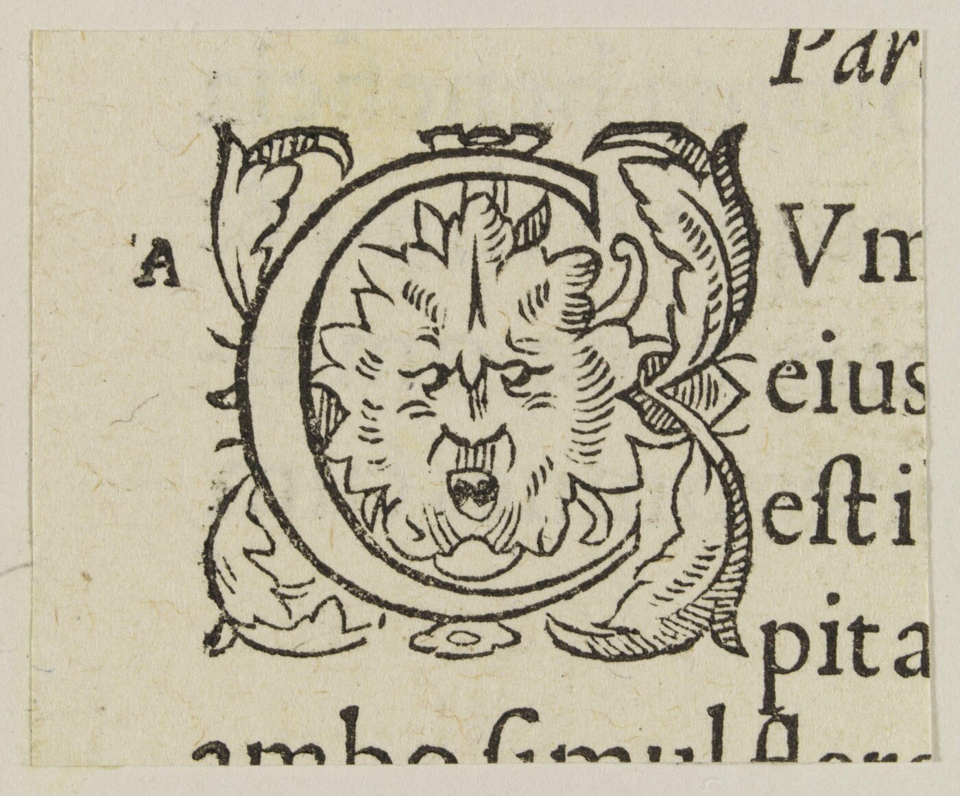 Unknown, Print