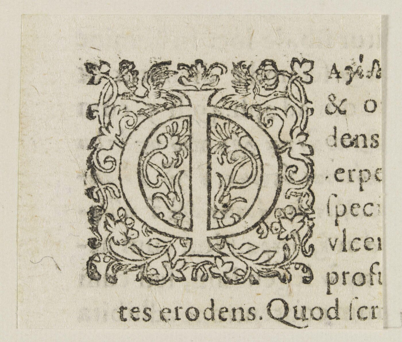 Unknown, Print