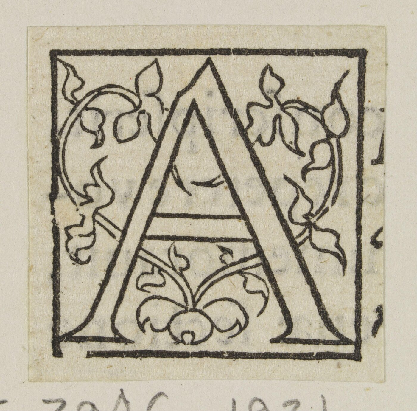 Unknown, Print