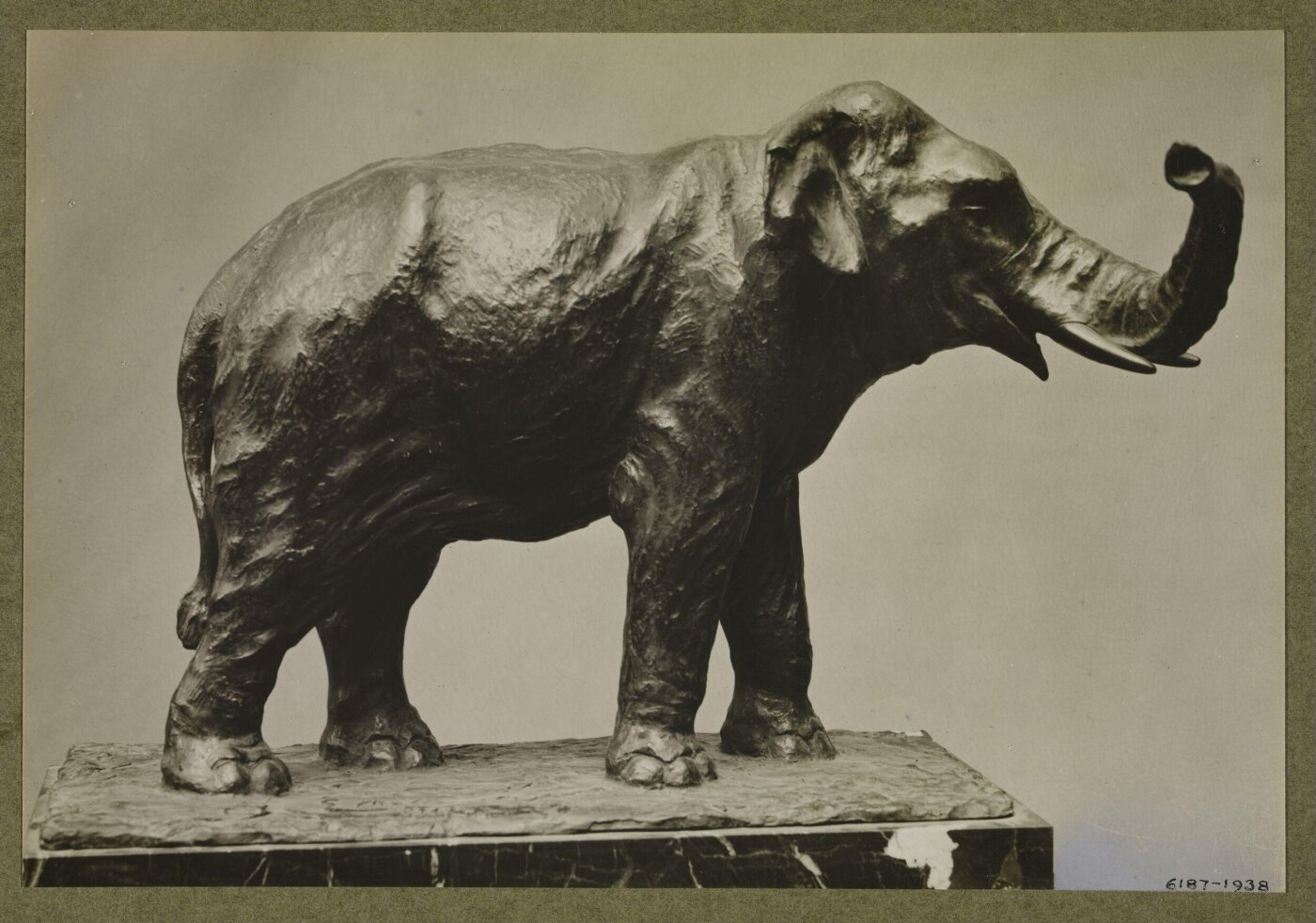 unknown, Photograph