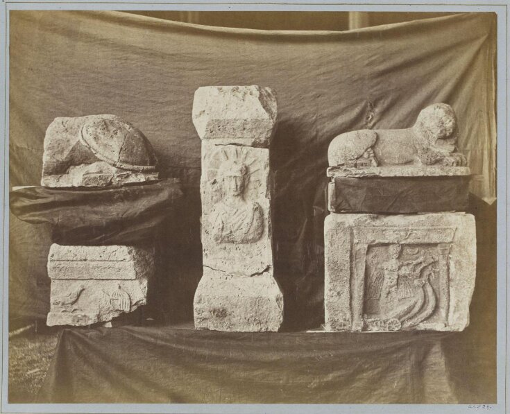 Various Phoenician Antiquities top image