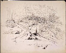 A boulder-strewn path with a fence and a wood on one side thumbnail 1