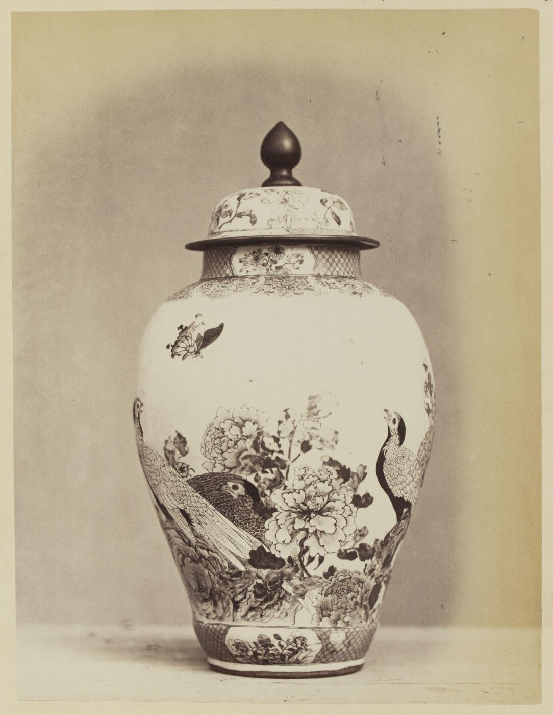 Franck, Photograph