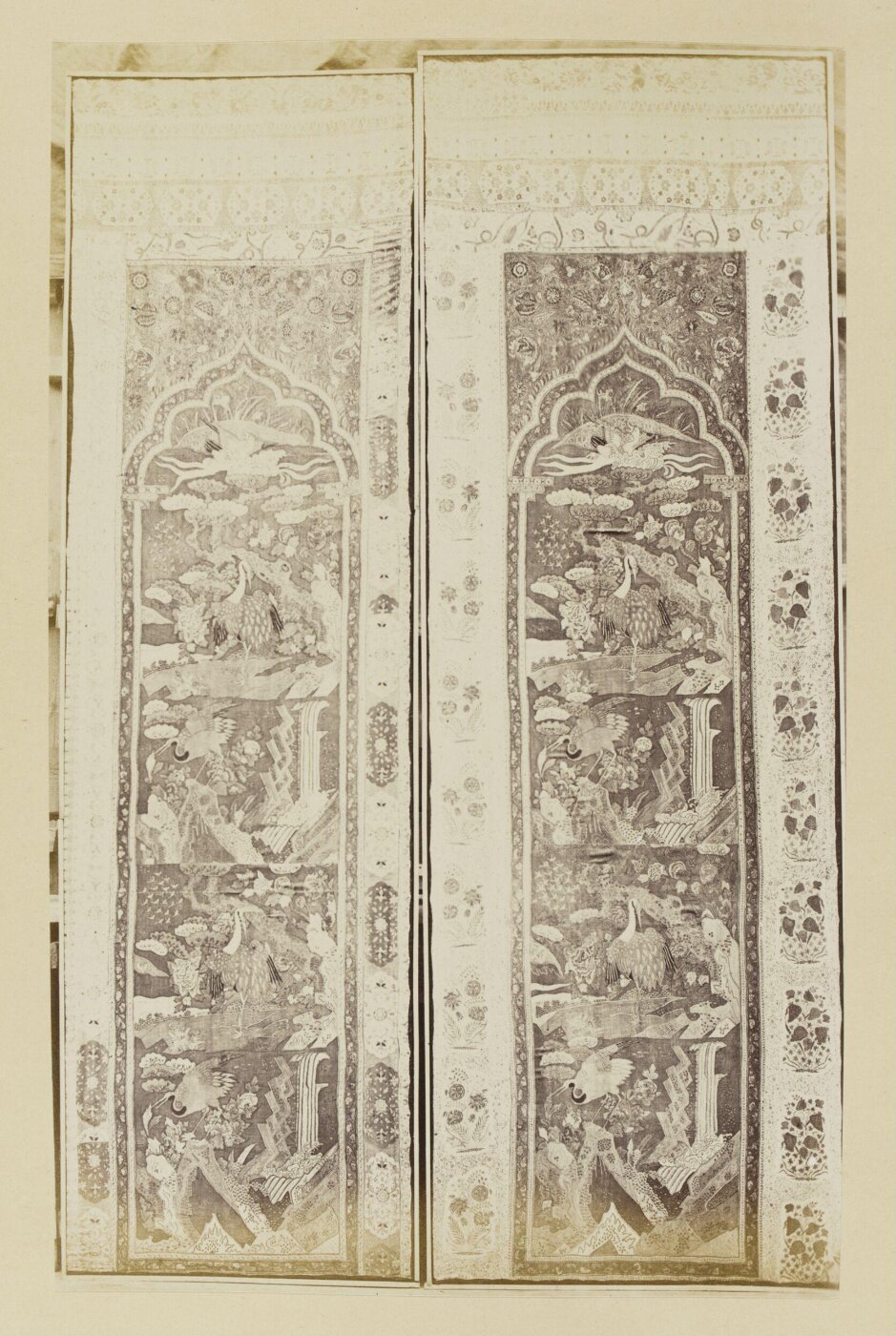 Franck, Photograph