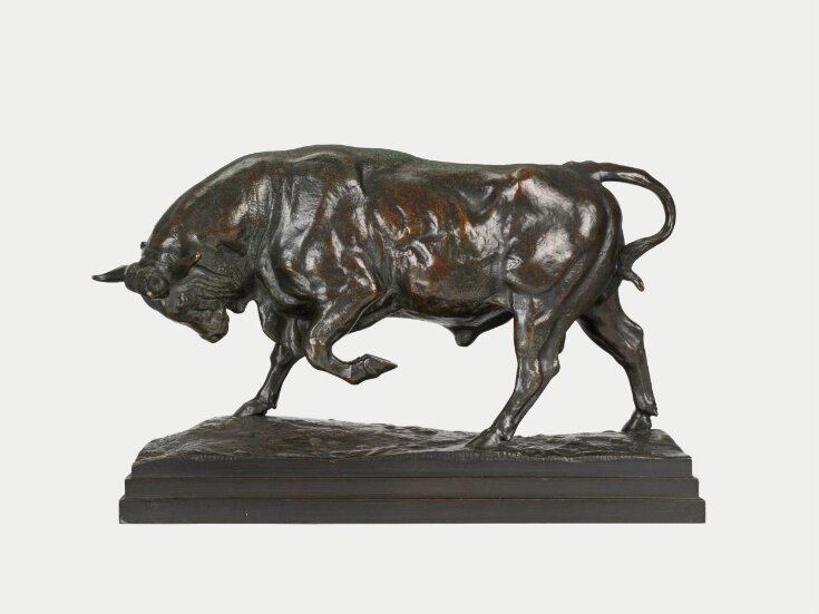 Raging Bull (Bull on the defensive)  top image