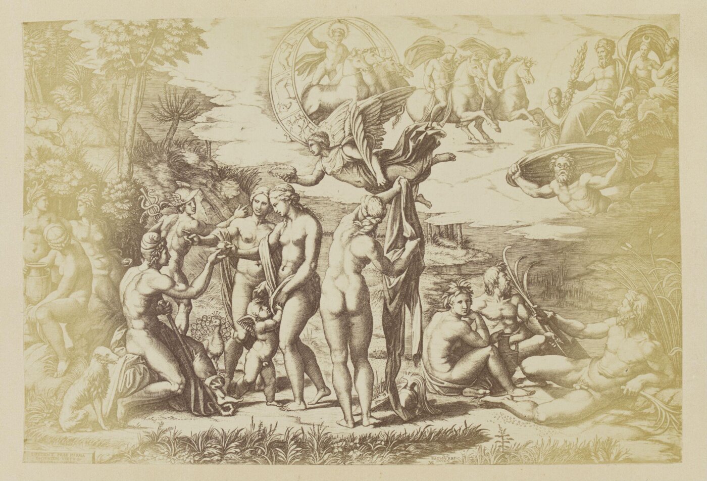 Franck, Photograph
