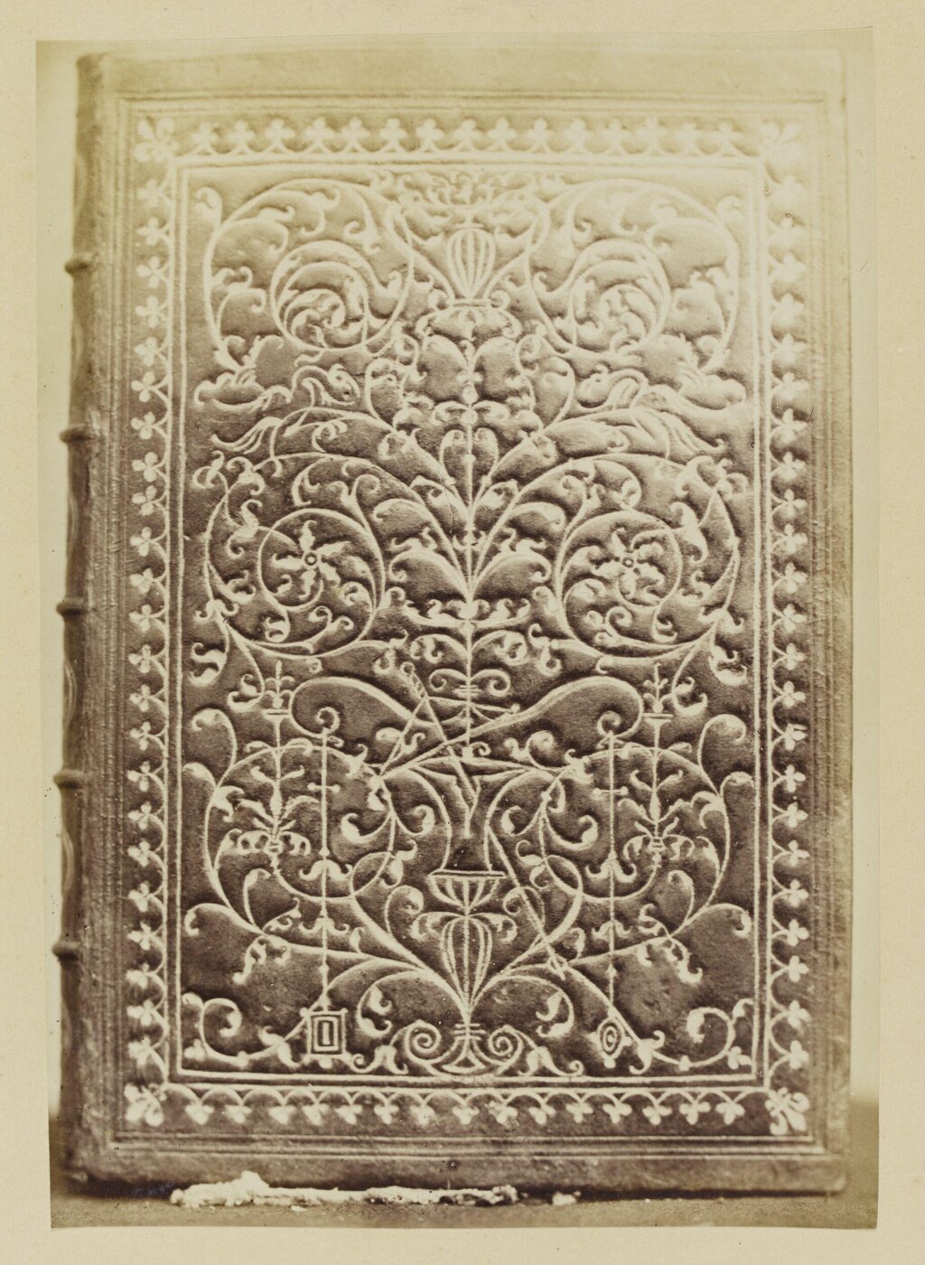 Franck, Photograph