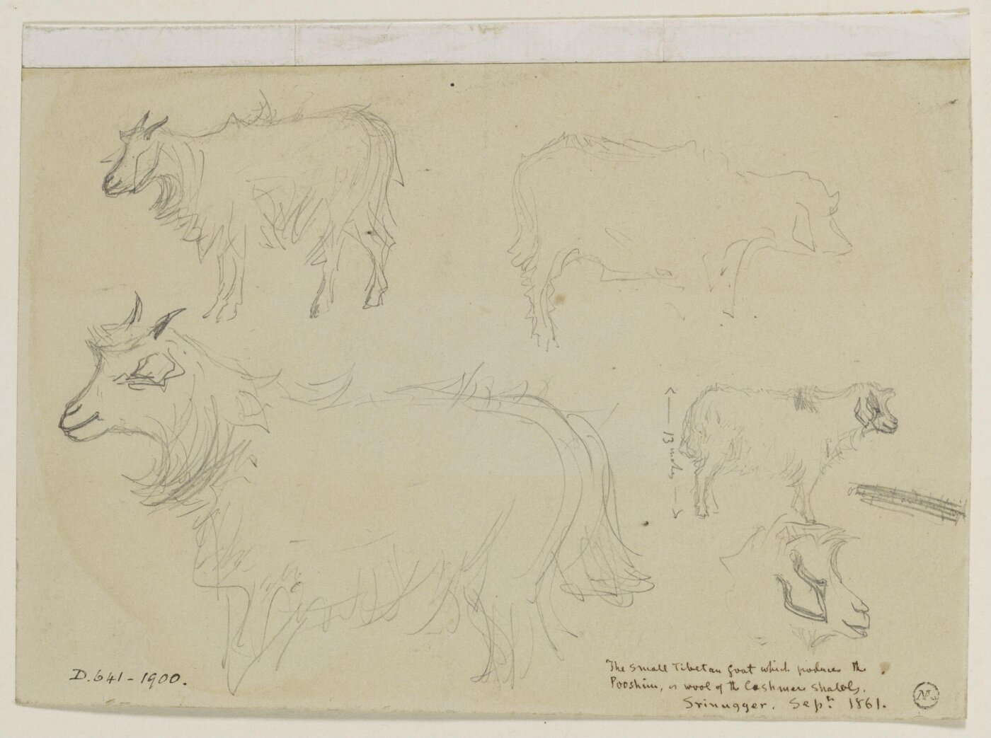 Simpson, William (R.I.), India. Original Sketches made in the Years 1859-60-61-62.