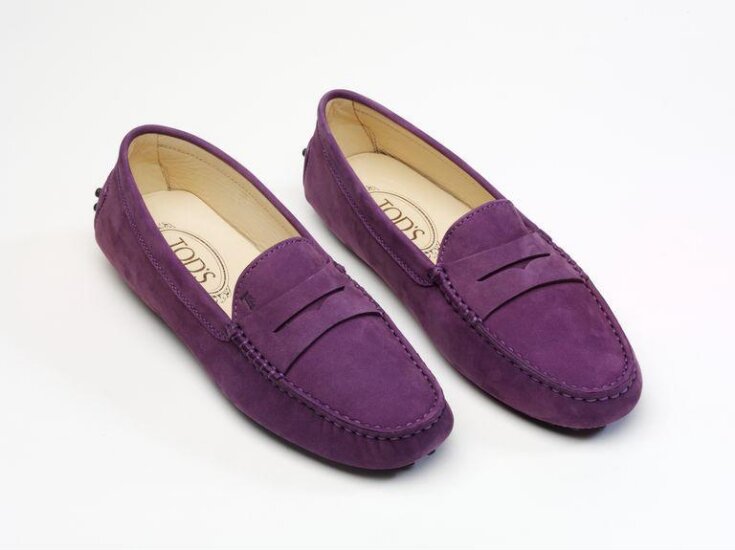 Moccassin image