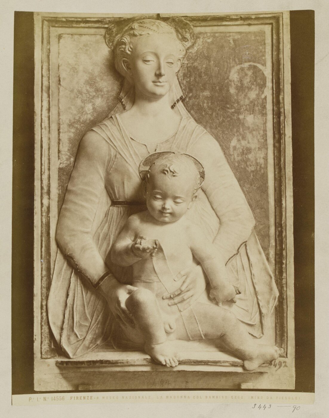 Fratelli Alinari, Photograph