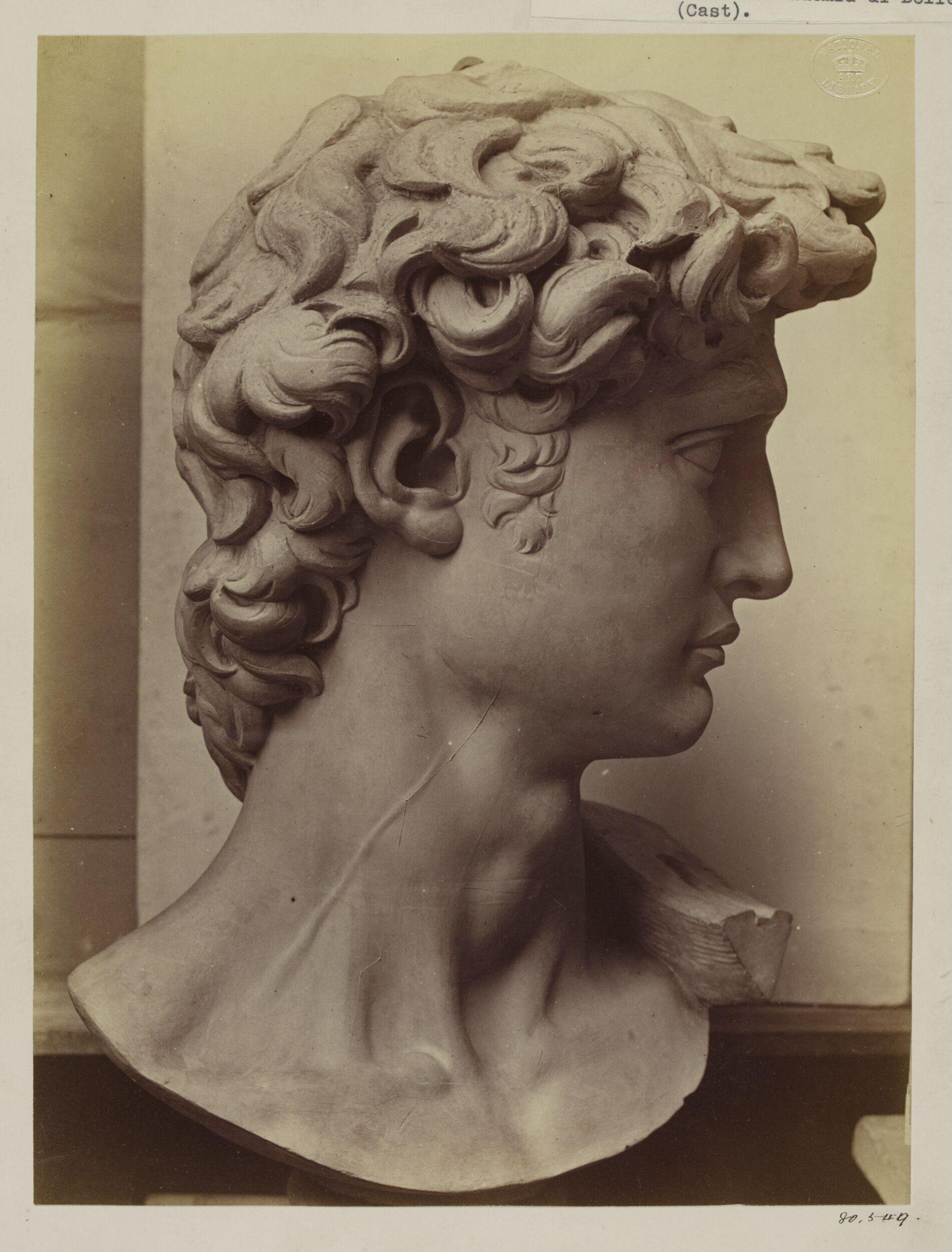 Cast of the head of Michelangelo's David in the Accademia di Belle Arte, Florence