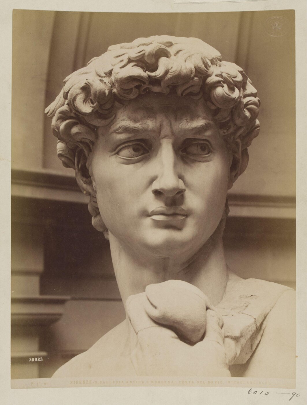 Fratelli Alinari, Photograph