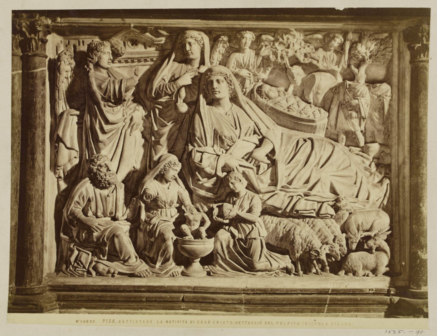 Fratelli Alinari, Photograph