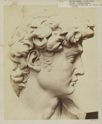 Cast of the head of Michelangelo's David in the Accademia di Belle Arte, Florence