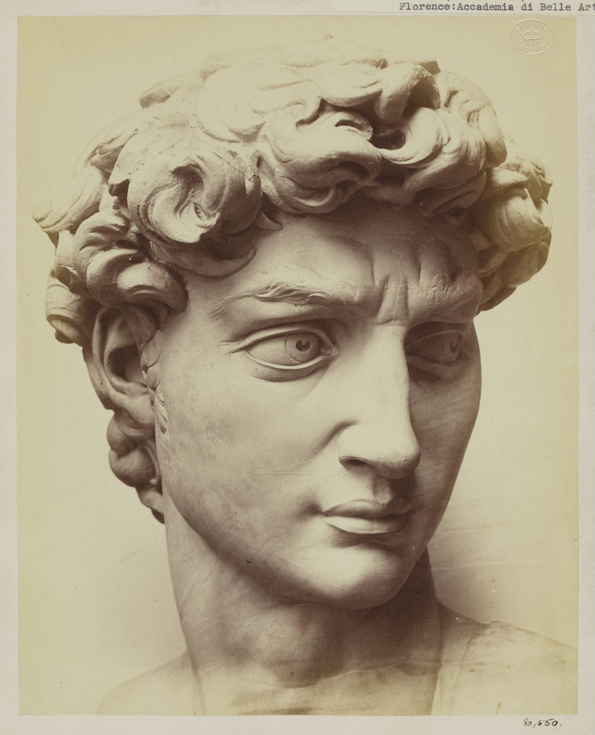Cast of the head of Michelangelo's David in the Accademia di Belle Arte, Florence