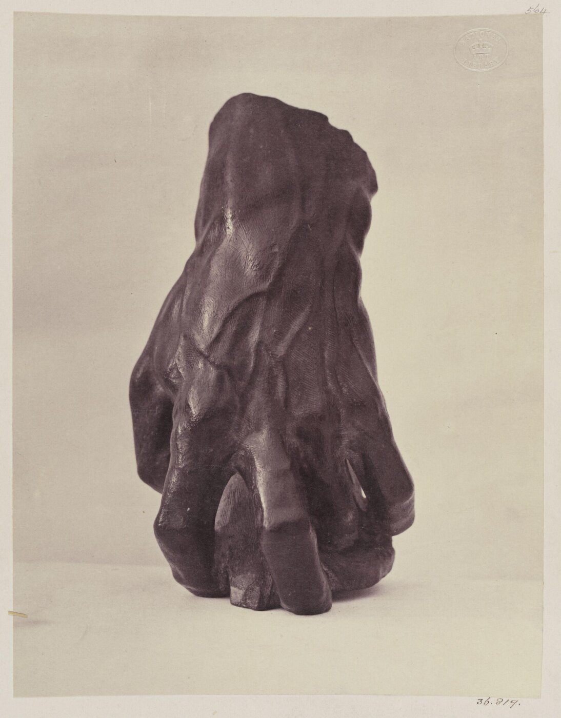 Unknown, Photograph