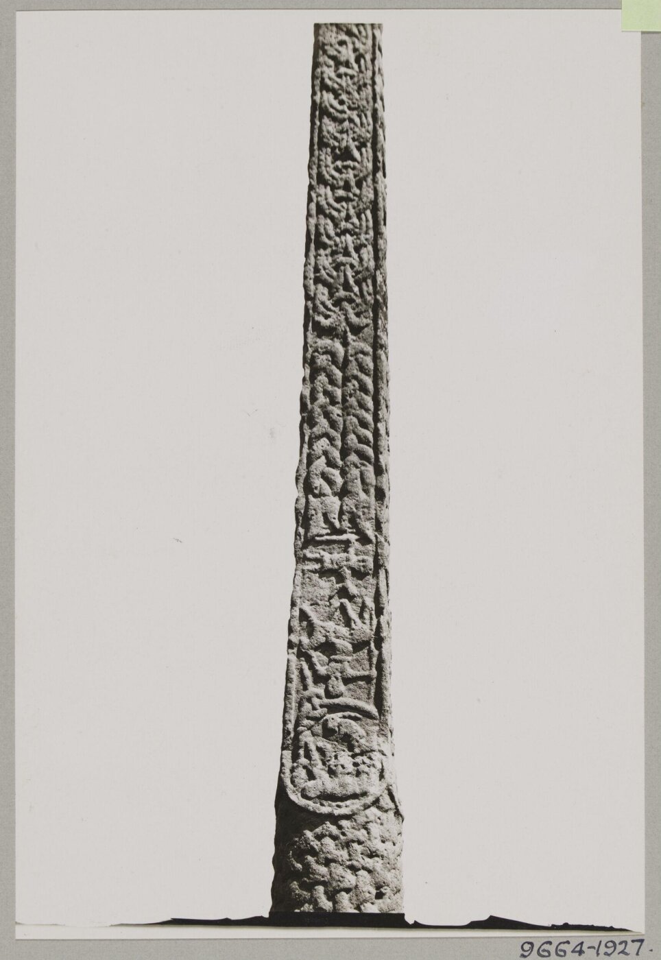Unknown, Photograph