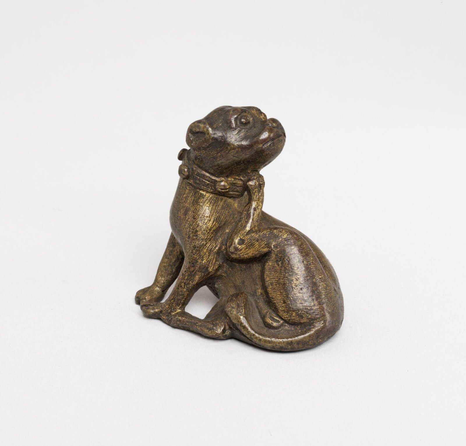 Scratching Pug Dog, ca. 1590-1630