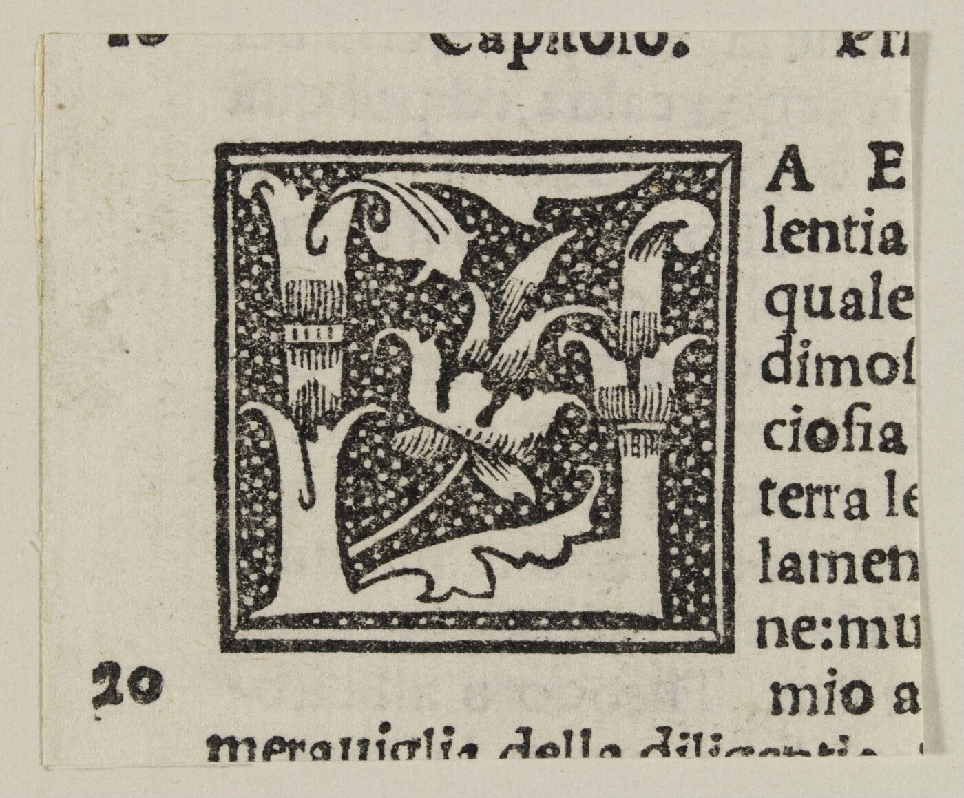 Unknown, Print