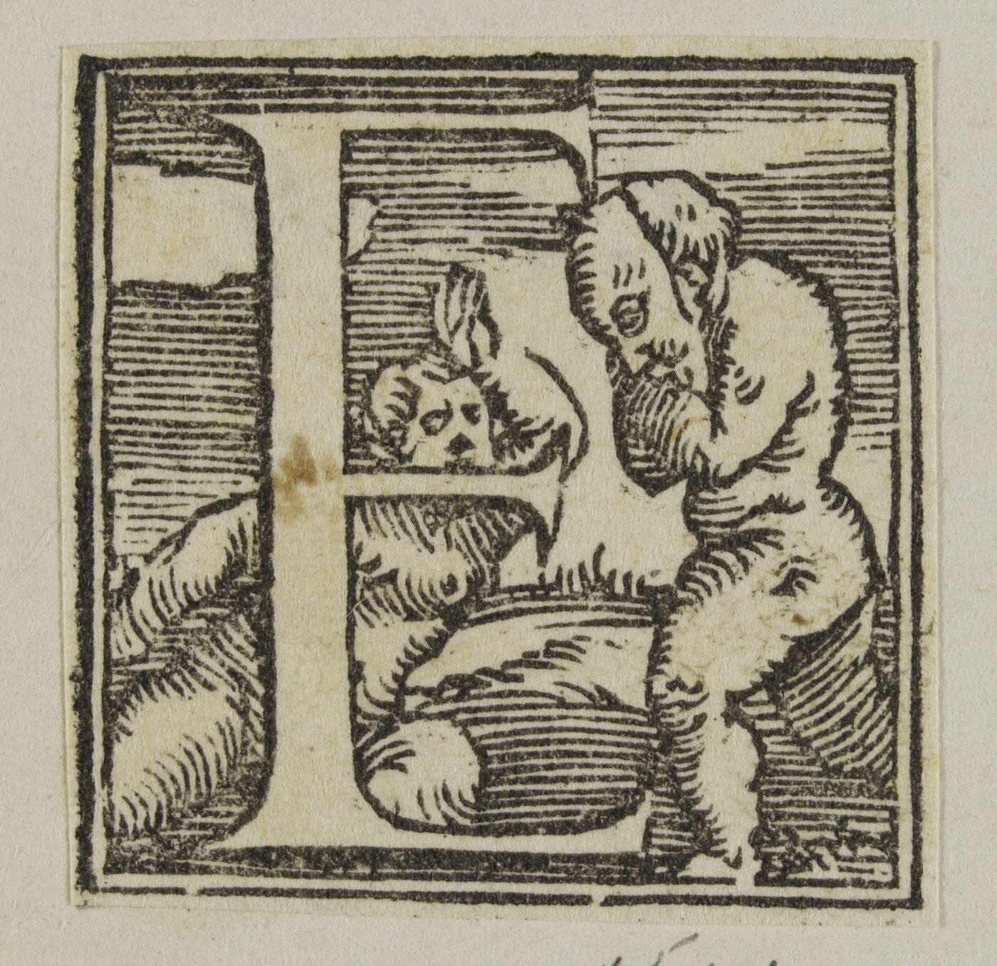 Unknown, Print