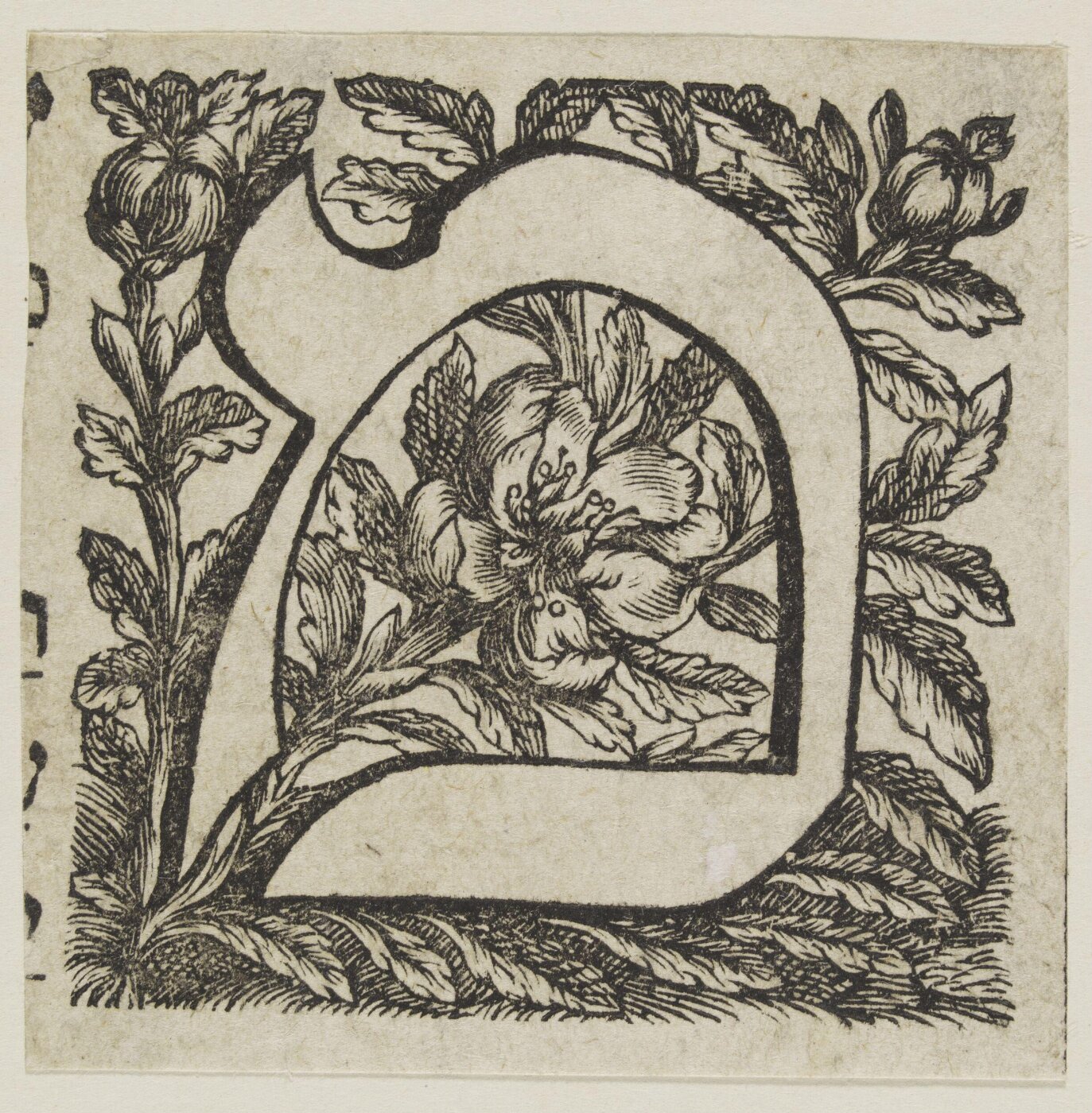 Unknown, Print