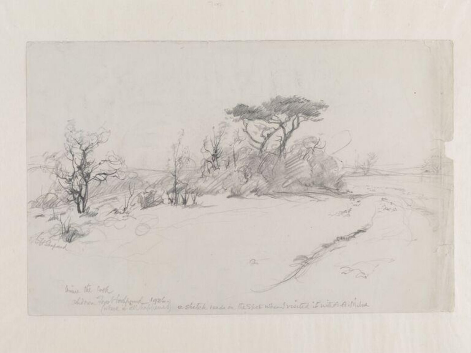 Ashdown Forest background (where it all happened), E. H. Shepard, 1926