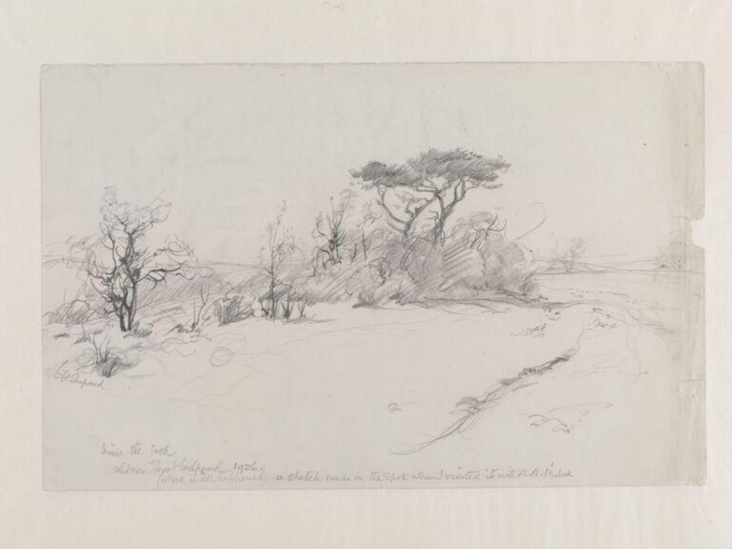 Ashdown Forest background (where it all happened), E. H. Shepard, 1926