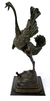 Ostrich with a Lizard