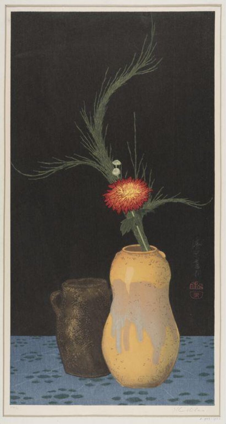 Chrysanthemum top image