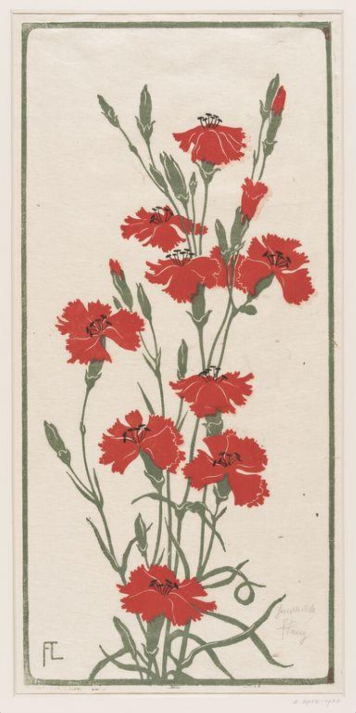 Red Carnations top image