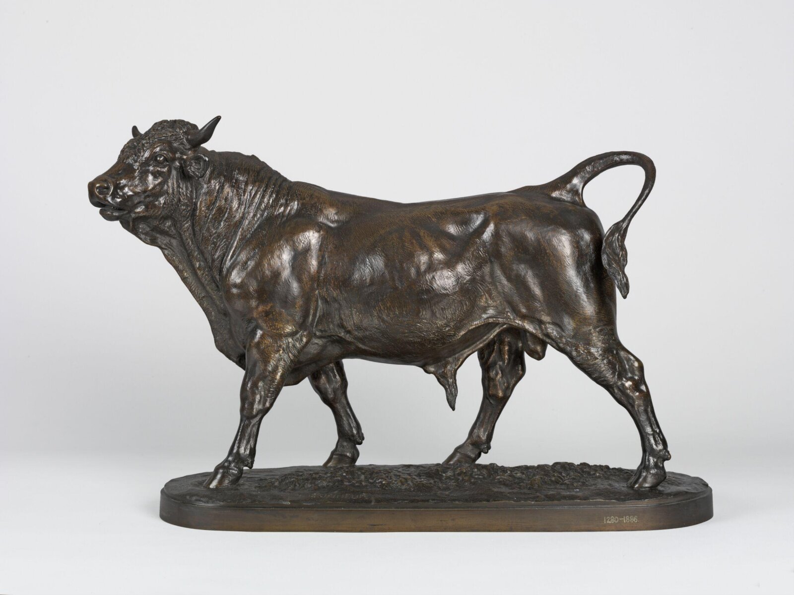 Bull, Jules Bonheur, ca. 1865-1870