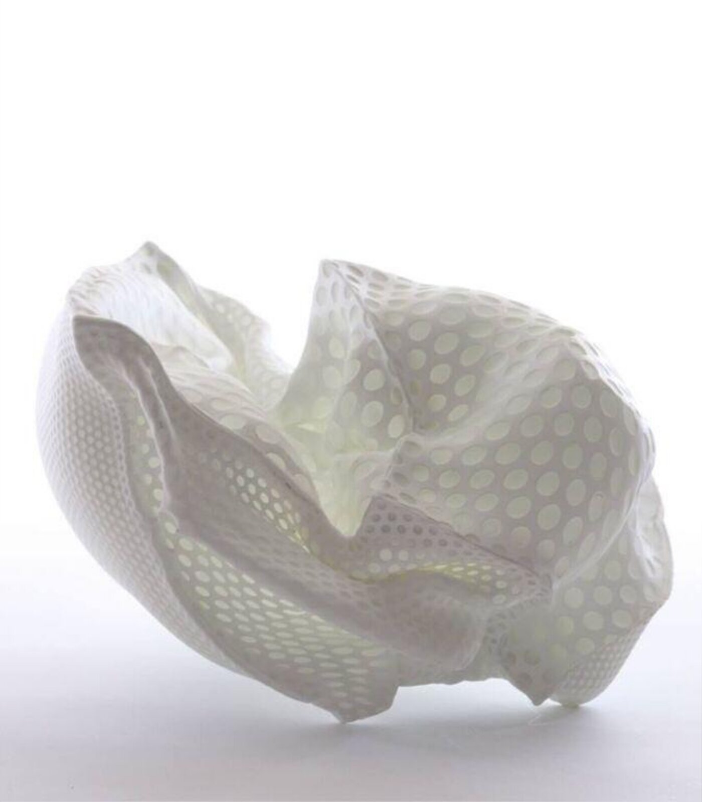 Vestige XIV, Sachi Fujikake, 2015