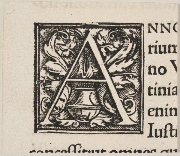 Print Johann Froben V&A Explore The Collections