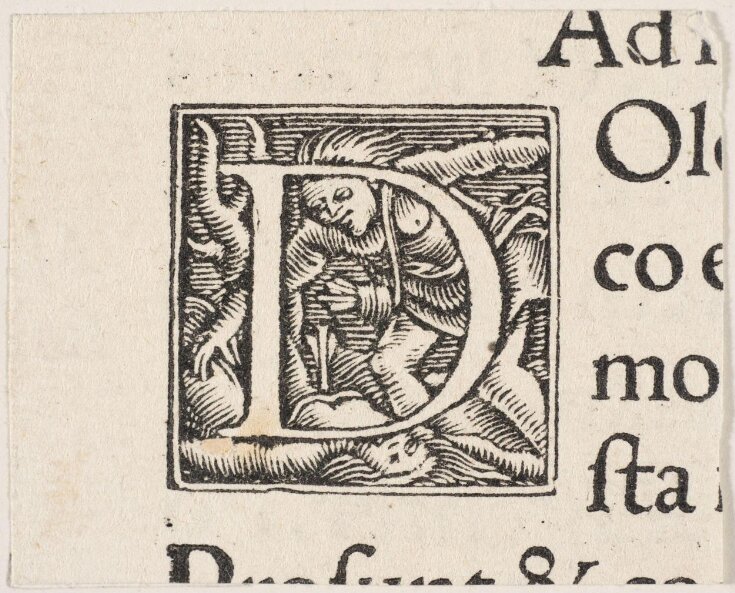 Print Lasius, Balthasar Andreas Cratander V&A Explore The Collections