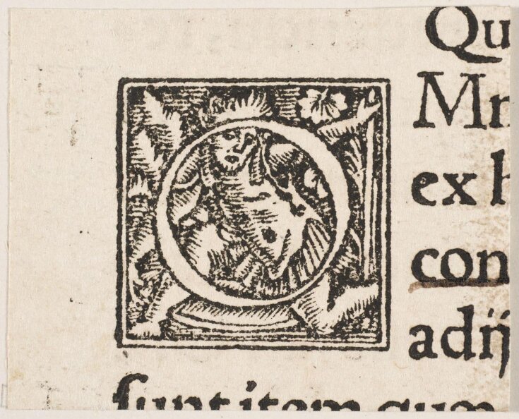 Print Lasius, Balthasar Andreas Cratander V&A Explore The Collections