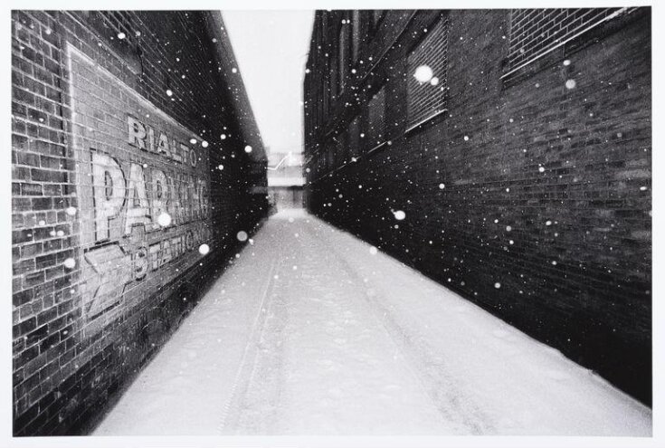 Snow Falling in Alley top image