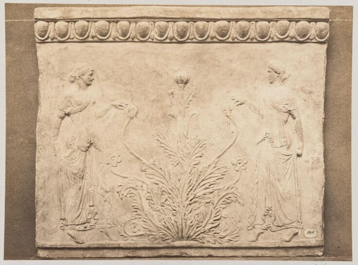 Bas-relief portion of frieze of nymphs with scrollwork in terra cotta top image