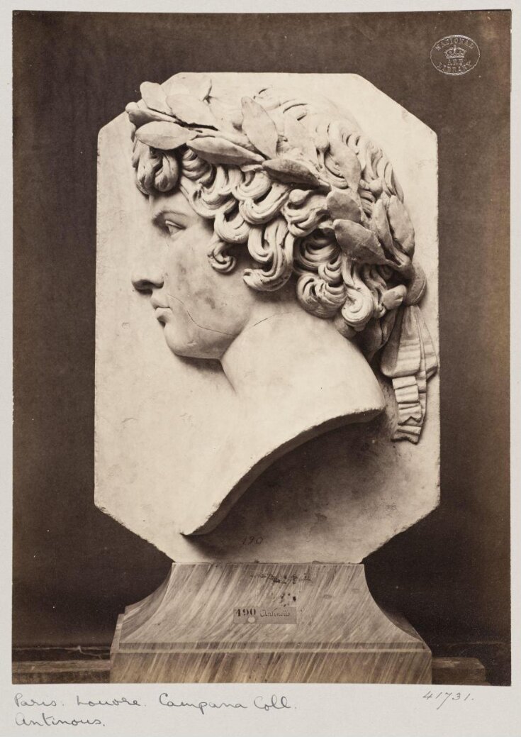 Marble bas-relief bust of Antinous top image